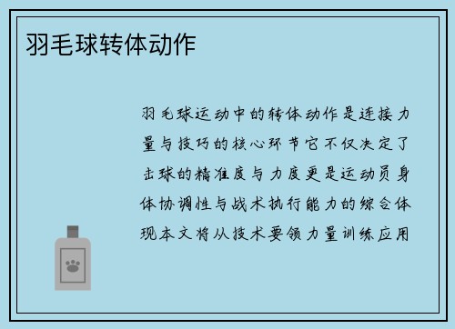 羽毛球转体动作